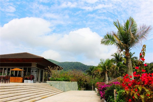 喵想吃金汤酸菜鱼